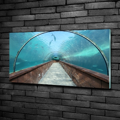 Glass art print Aquarium tunnel