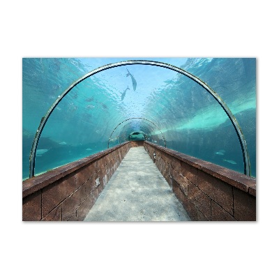 Glass art print Aquarium tunnel