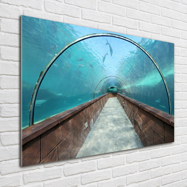 Glass art print Aquarium tunnel