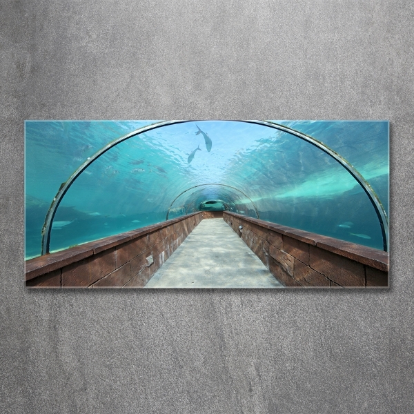 Glass art print Aquarium tunnel