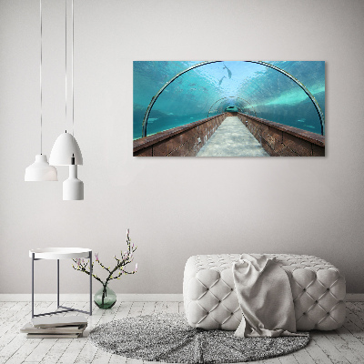 Glass art print Aquarium tunnel