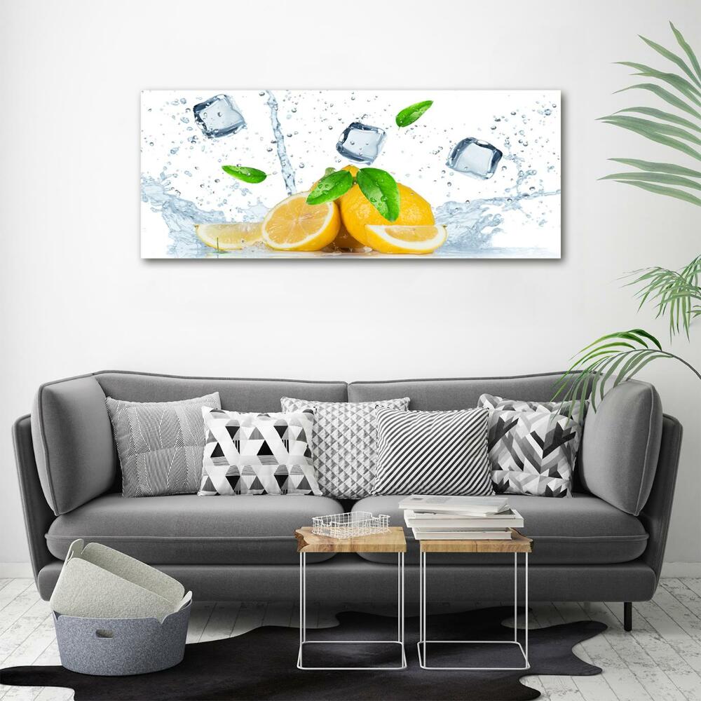 Glass picture wall art Ice lemons