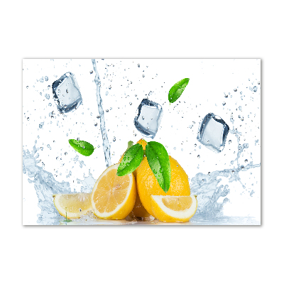 Glass picture wall art Ice lemons