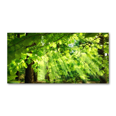 Glass art print Beech leaves