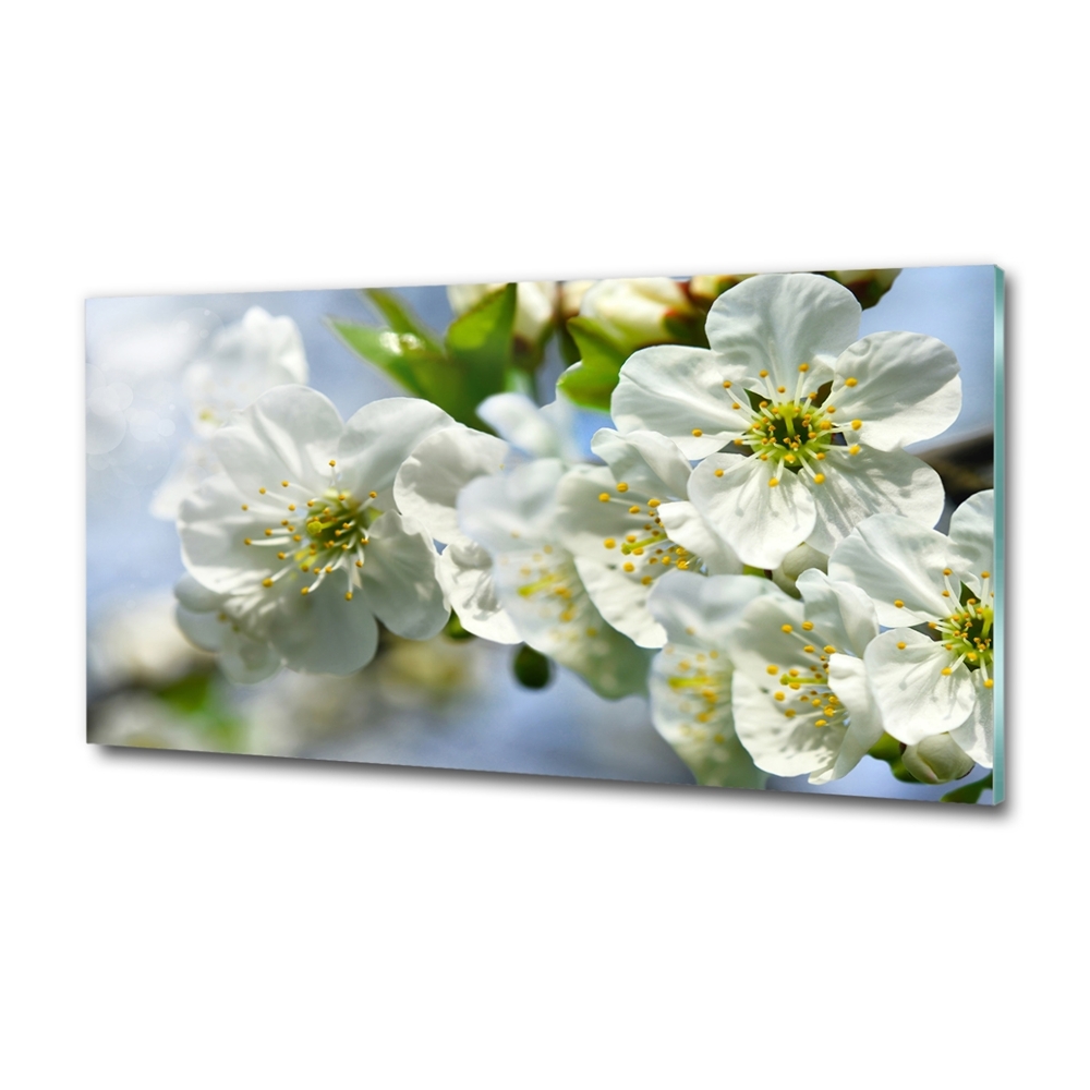 Glass wall art large Cherry blossom