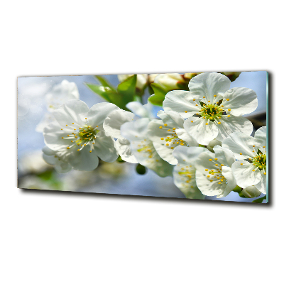 Glass wall art large Cherry blossom