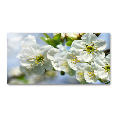 Glass wall art large Cherry blossom