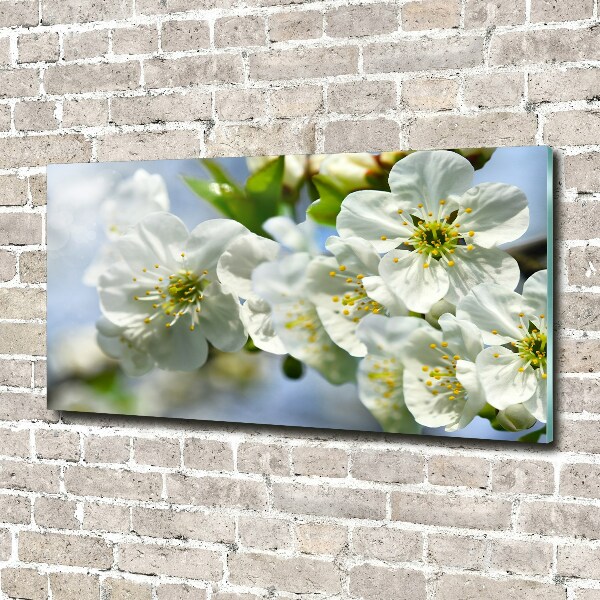 Glass wall art large Cherry blossom