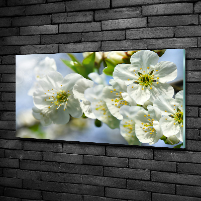 Glass wall art large Cherry blossom