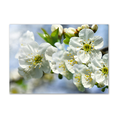 Glass wall art large Cherry blossom