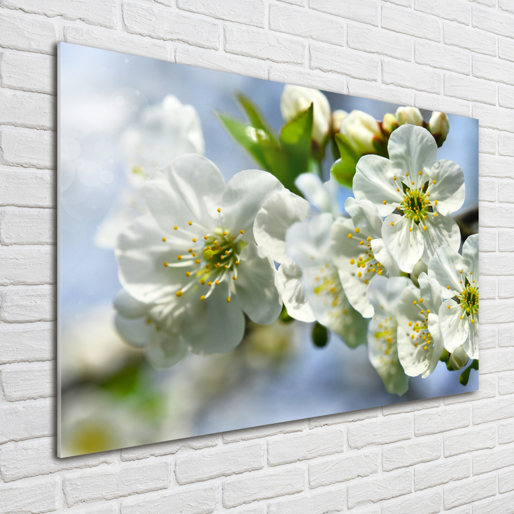 Glass wall art large Cherry blossom