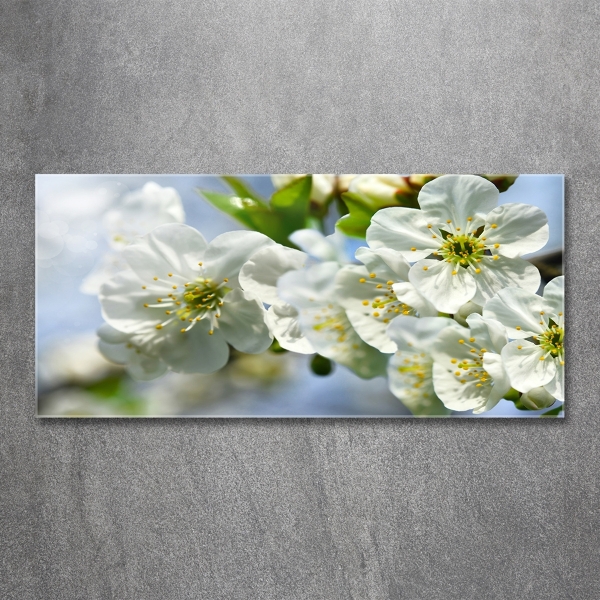 Glass wall art large Cherry blossom