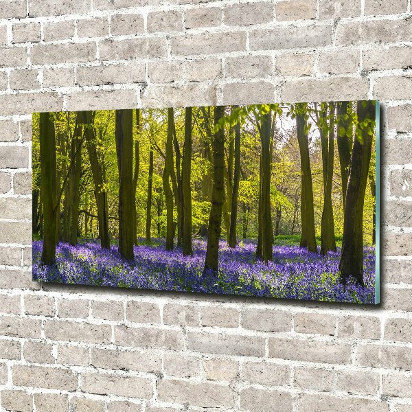 Wall art on glass Forest