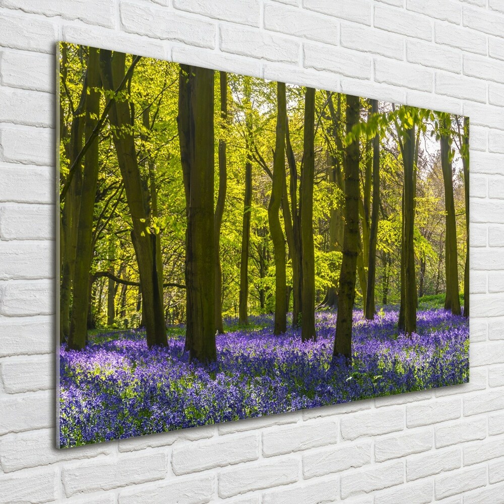 Wall art on glass Forest