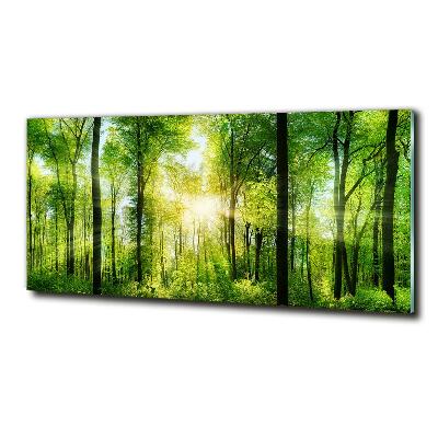 Glass art print Forest in the sun