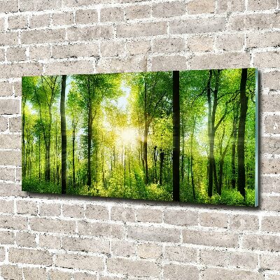 Glass art print Forest in the sun