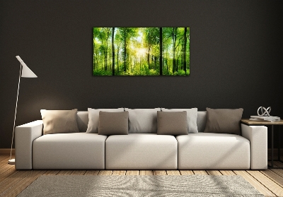 Glass art print Forest in the sun