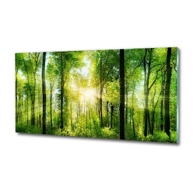 Glass art print Forest in the sun