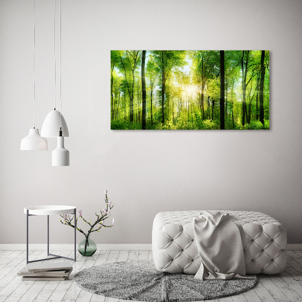 Glass art print Forest in the sun