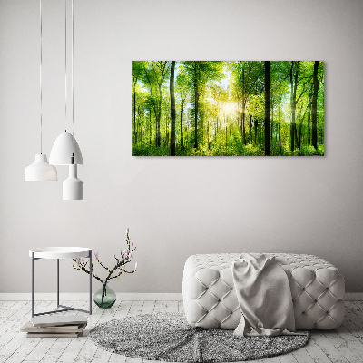 Glass art print Forest in the sun