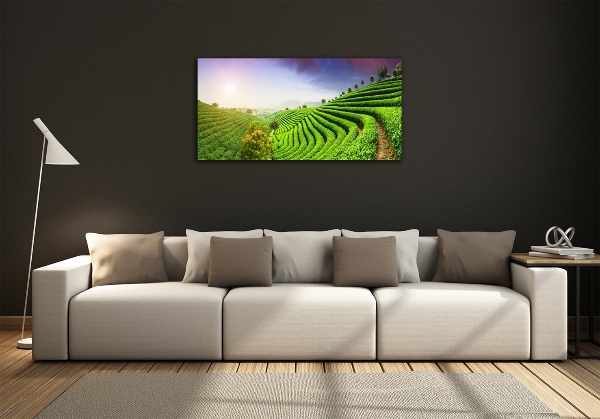 Wall art on glass Tea plantation