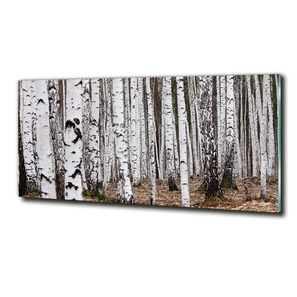 Glass picture print Birch