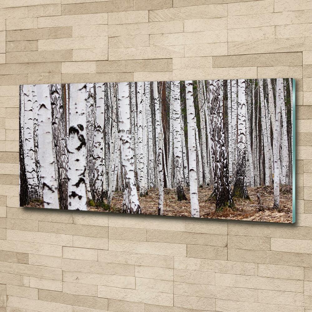 Glass picture print Birch