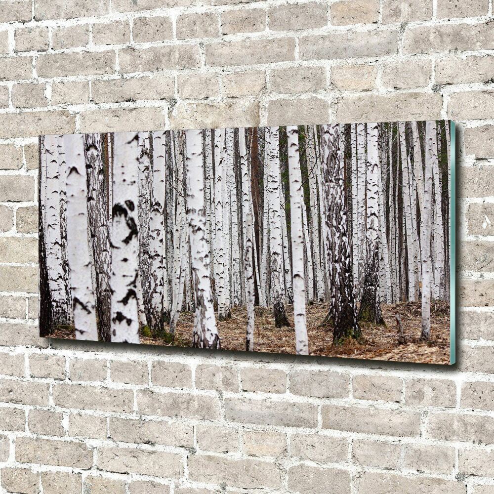 Glass picture print Birch