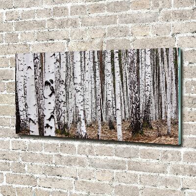 Glass picture print Birch