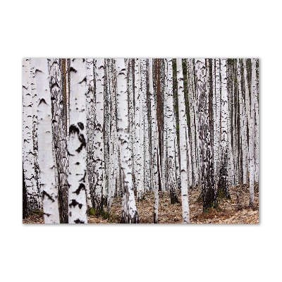 Glass picture print Birch