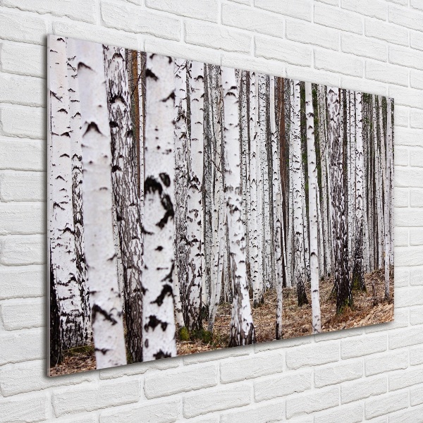 Glass picture print Birch