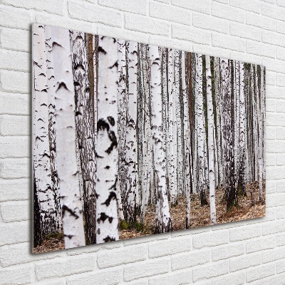 Glass picture print Birch