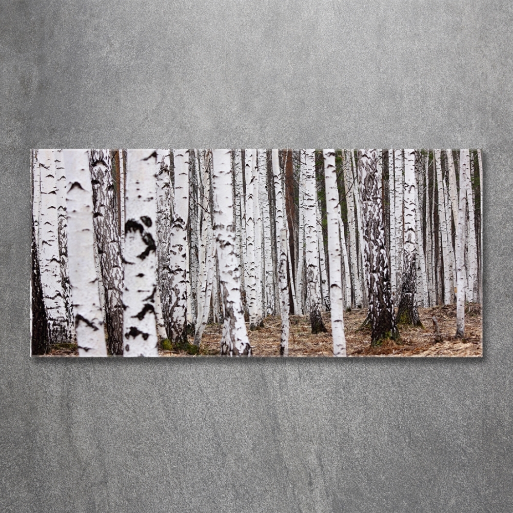 Glass picture print Birch