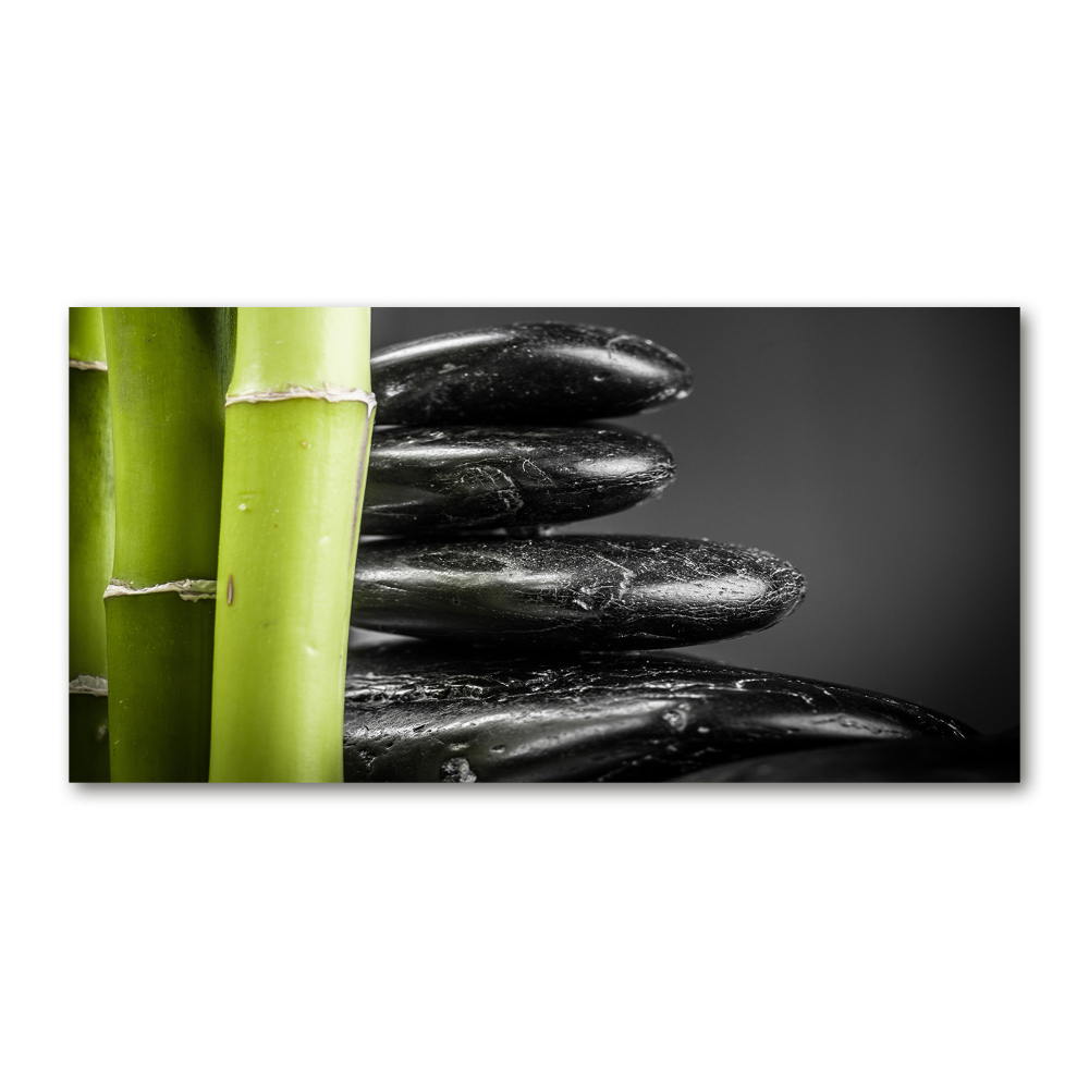 Glass picture print Bamboo