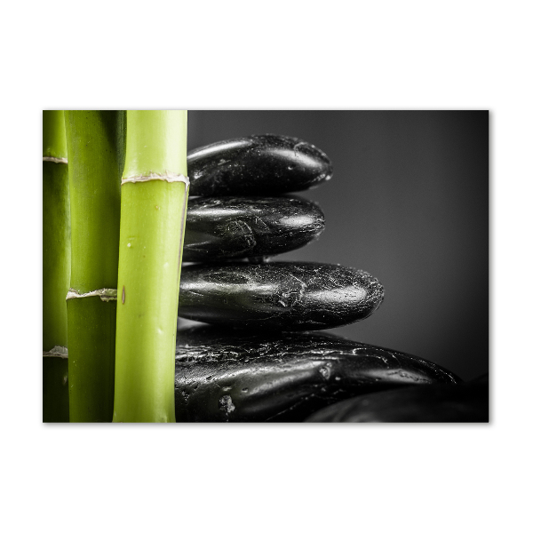 Glass picture print Bamboo