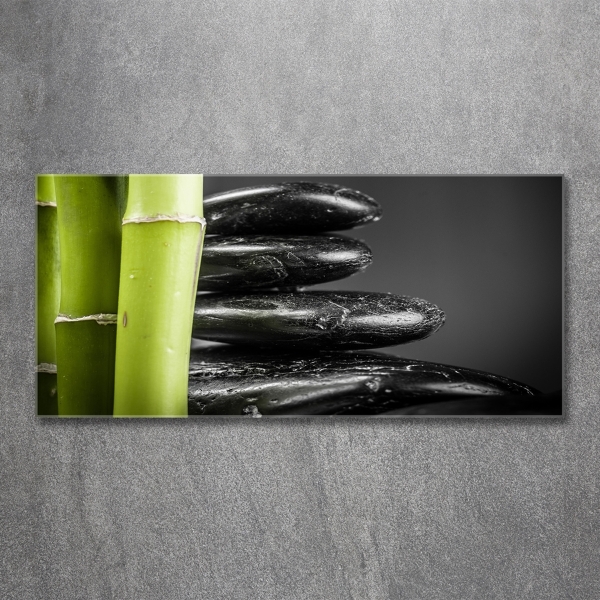 Glass picture print Bamboo