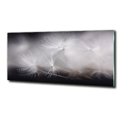 Glass picture print Dandelion seeds