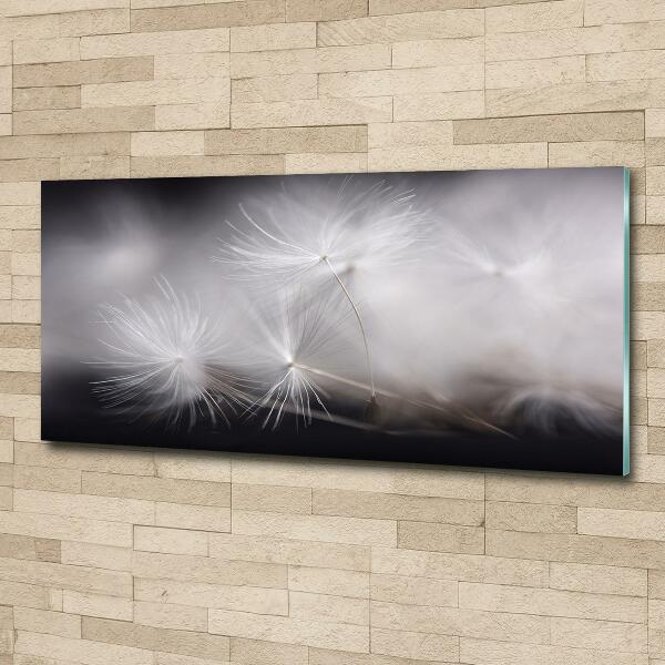 Glass picture print Dandelion seeds