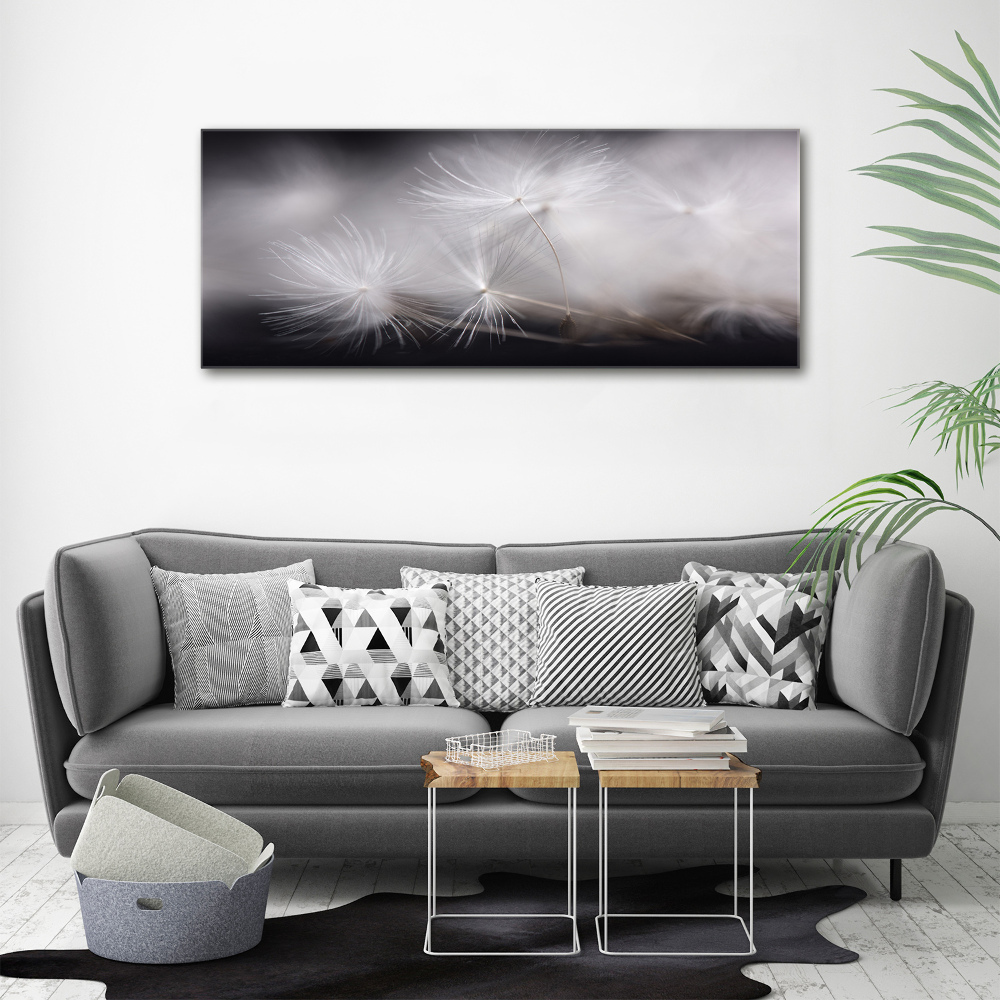 Glass picture print Dandelion seeds