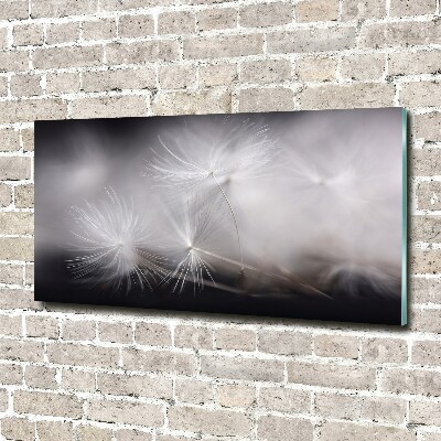 Glass picture print Dandelion seeds