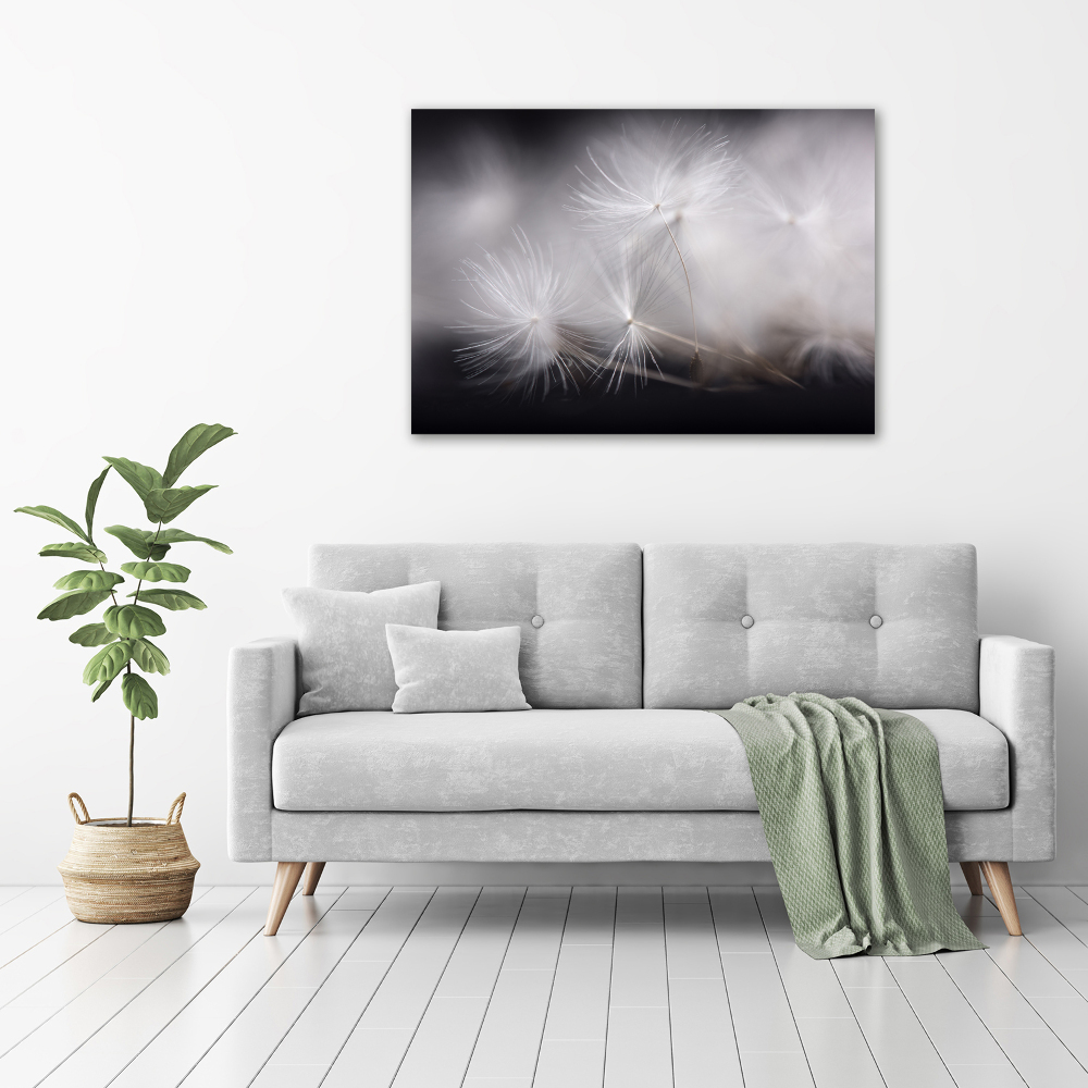 Glass picture print Dandelion seeds