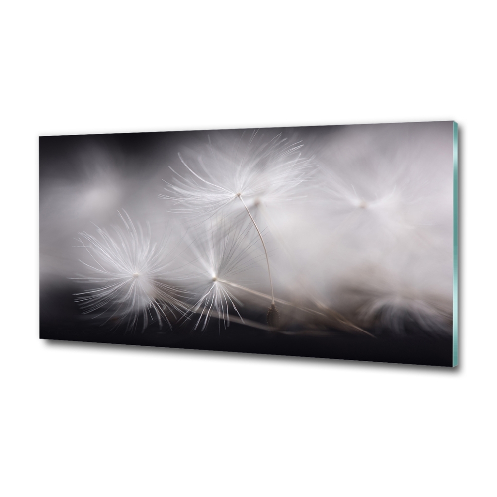 Glass picture print Dandelion seeds