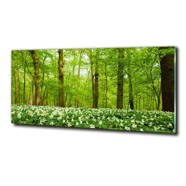 Wall art on glass Flowers in the forest