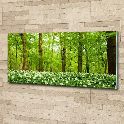 Wall art on glass Flowers in the forest