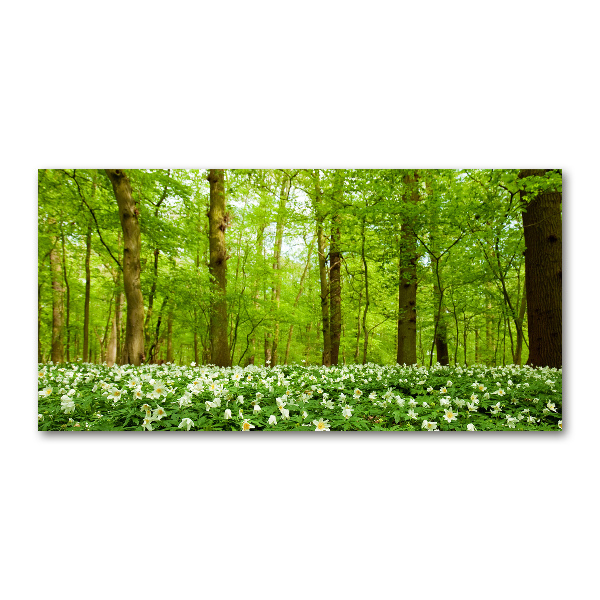 Wall art on glass Flowers in the forest