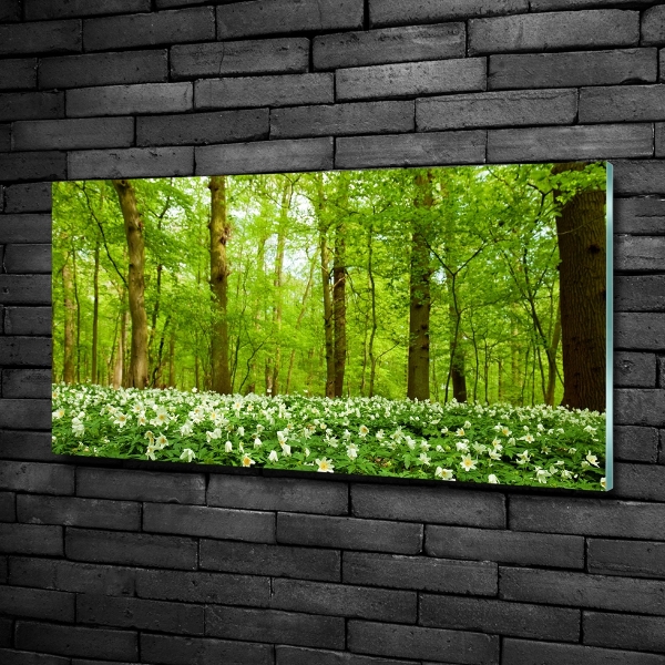 Wall art on glass Flowers in the forest