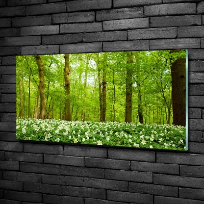 Wall art on glass Flowers in the forest