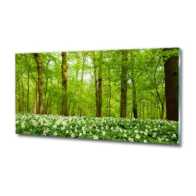 Wall art on glass Flowers in the forest