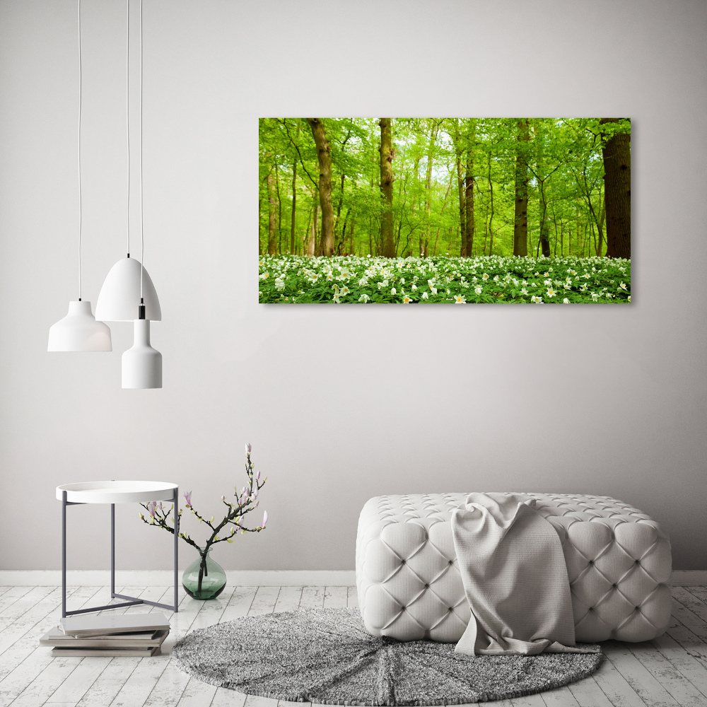 Wall art on glass Flowers in the forest