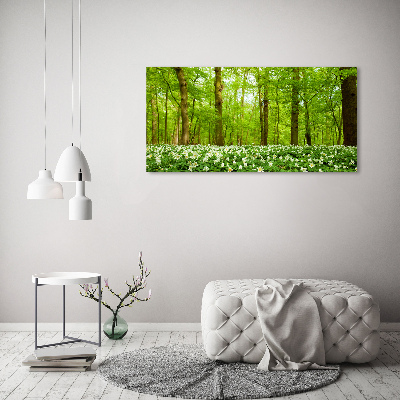 Wall art on glass Flowers in the forest